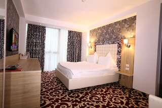 Отель Hotel Articus Крайова Стандартный двухместный номер с 1 кроватью-10